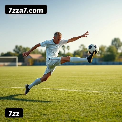 Níveis do programa VIP da 7zz